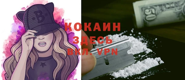 прущие грибы Арсеньев