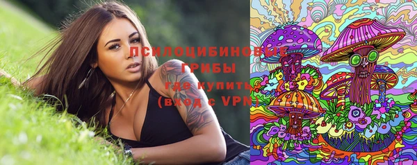 винт Аркадак