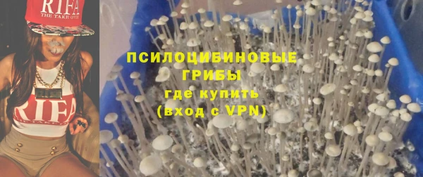 винт Аркадак