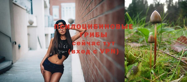 прущие грибы Арсеньев
