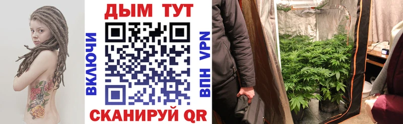 Шишки марихуана OG Kush  Сретенск 